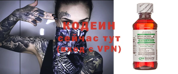 МДПВ Нея