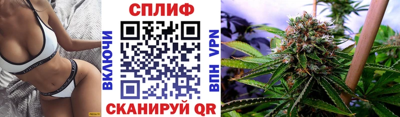 МАРИХУАНА SATIVA & INDICA  наркота  Староминская 